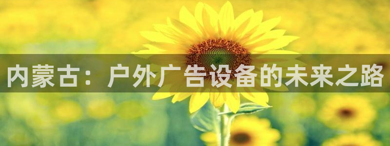 杏宇平台招商怎么样