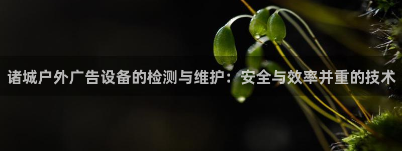 杏宇平台登录步骤是什么：诸城户外广告设备的检测与维护：安全与效率并重的技术
