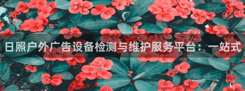 杏宇平台怎么样知乎：日照户外广告设备检测