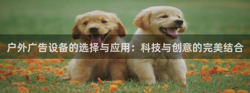 杏宇平台代理多少钱一次